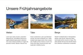 Design-Block - 3-Spalter - Text und Bild