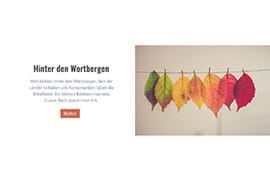 Design-Block - Text links, breites Bild rechts