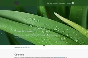 Layout - Poster Responsive - Modern