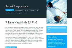 Layout - Smart Responsive - Blau