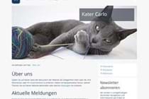 Website Template - Contemporary Responsive