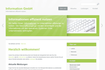 Website Template - Info