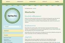 Website Template - Spring Responsive